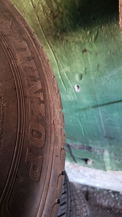 Шины летние Dunlop 175/70/14