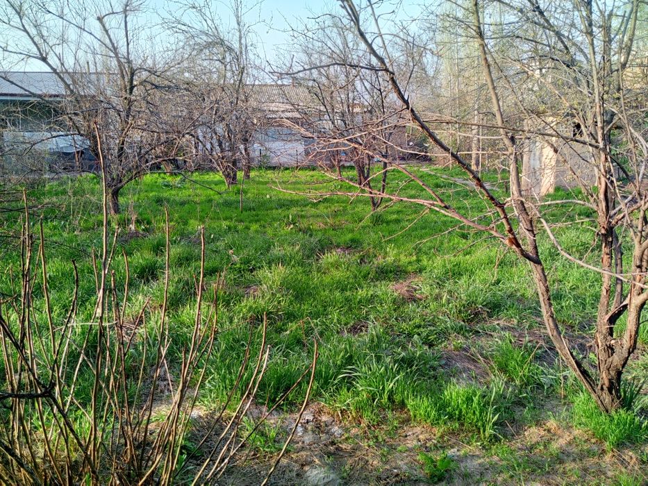 Продам дом в Чарваке, рядом с Бочки 9,2 сотки