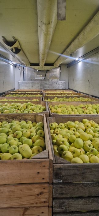 Mere polonia superr calitate