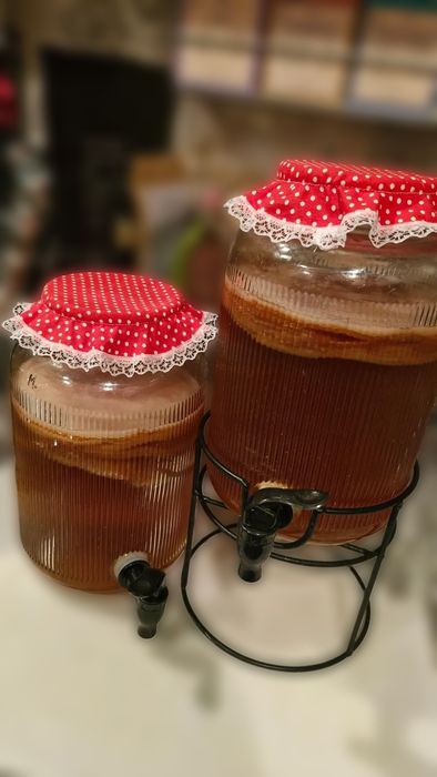 Чайный   гриб (Комбуча)