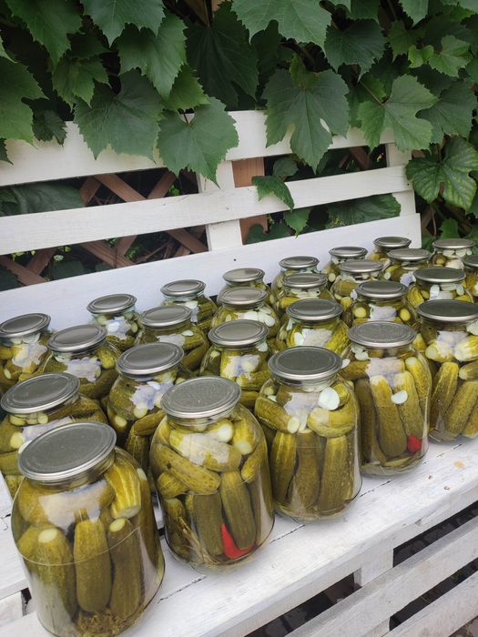 Соленые огурцы. Лучшие