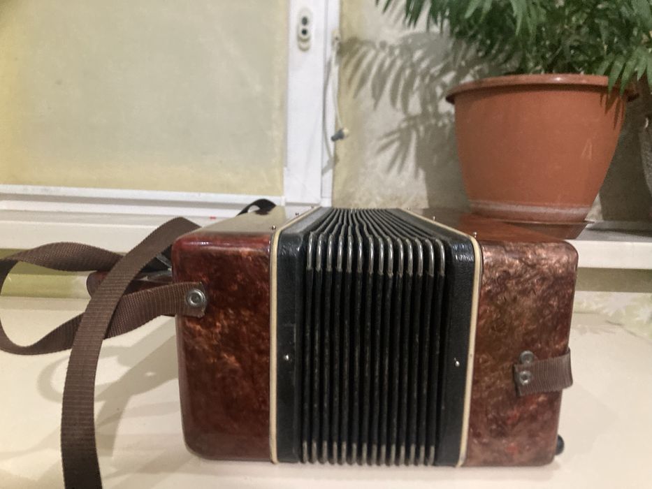 Гармошка «ромашка»