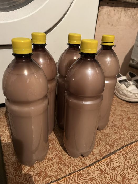 Кымыз 1200 тенгеден