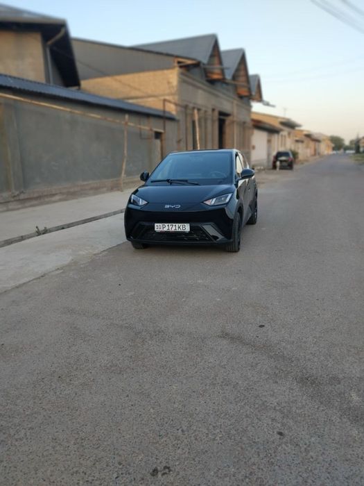 BYD seagull kraskasi yoq