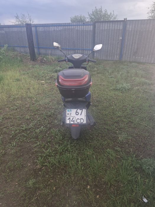 Продам радость лета