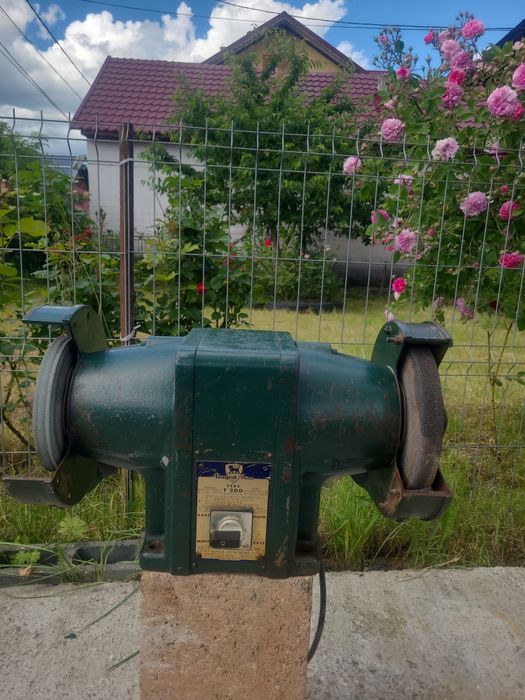 Polizor electric 220v