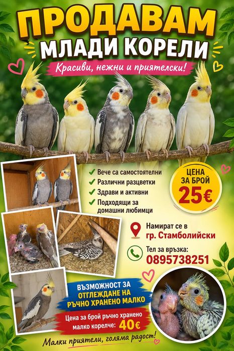 Папагали Корела