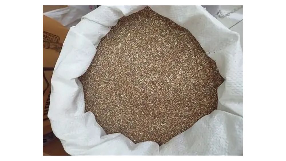 Ракушка кормовая каспийская