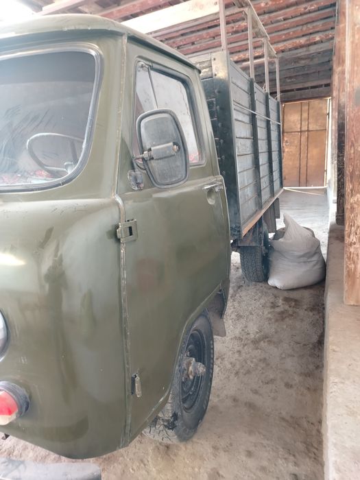 Bortovoy tentli xamma joyi sog'