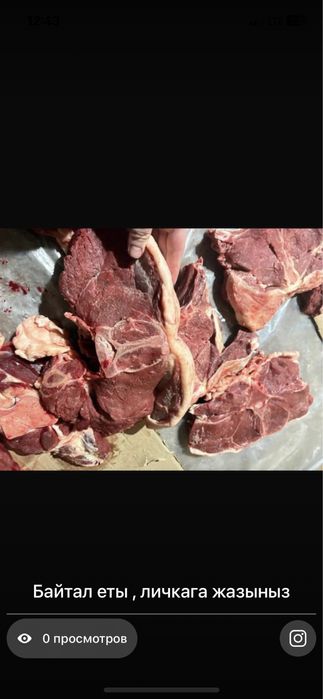 Семыз байтал кунандар