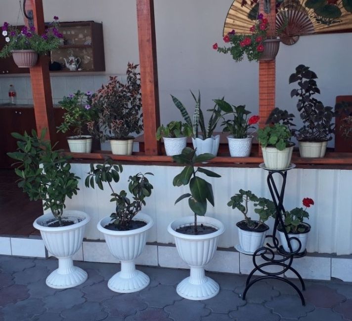 Продам дом продам столовую