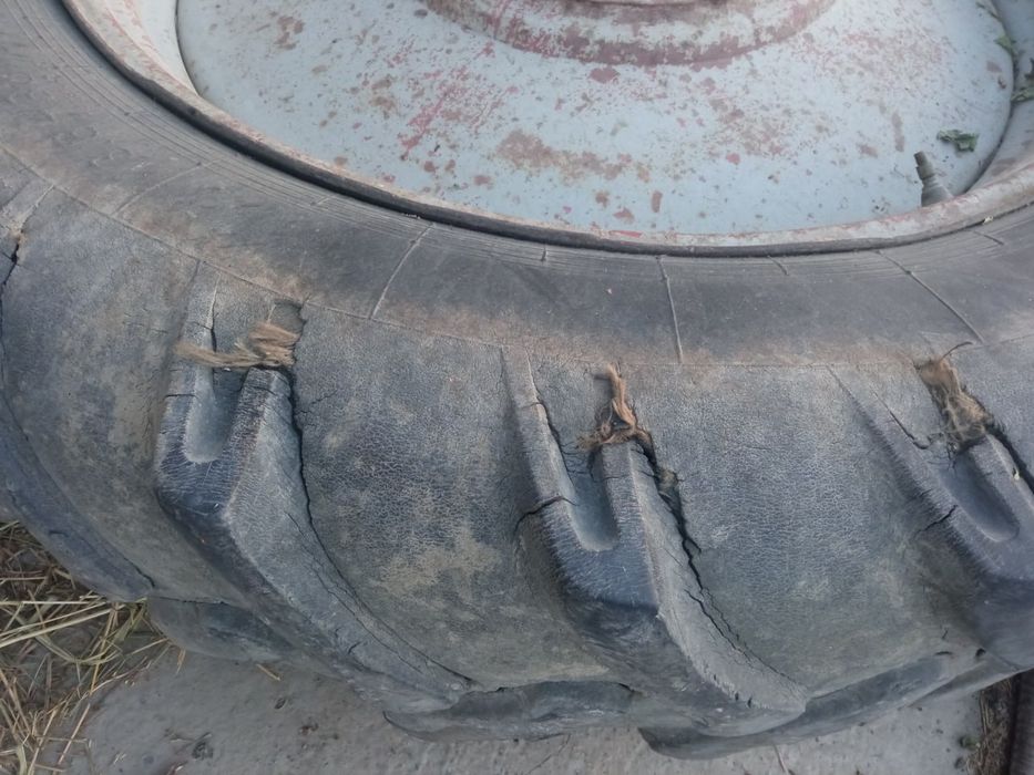 Traktor Balon 13.6 2ta kamir pakrushka