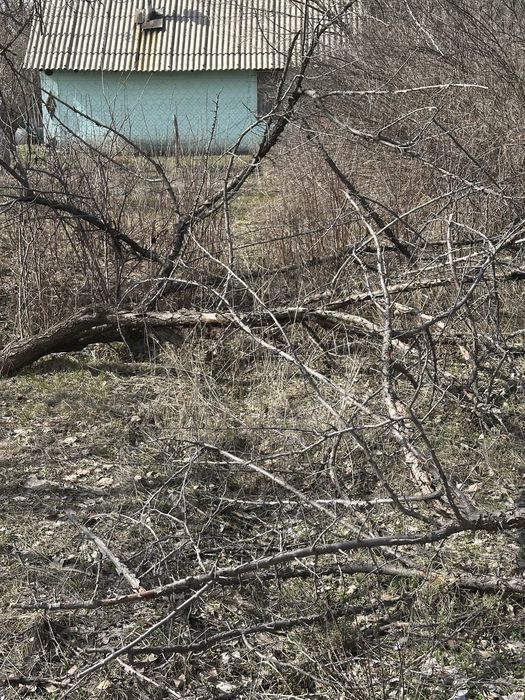 Дрова бесплатно