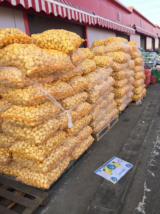 Vand usturoi calitatea I,pentru pus si de consum