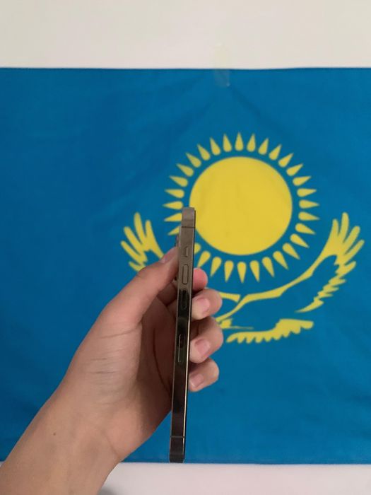 Iphone 14 Pro Золотистый
