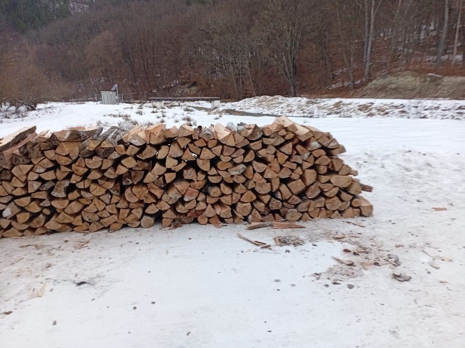 Lemn de foc Uscate Pădurea bogați
