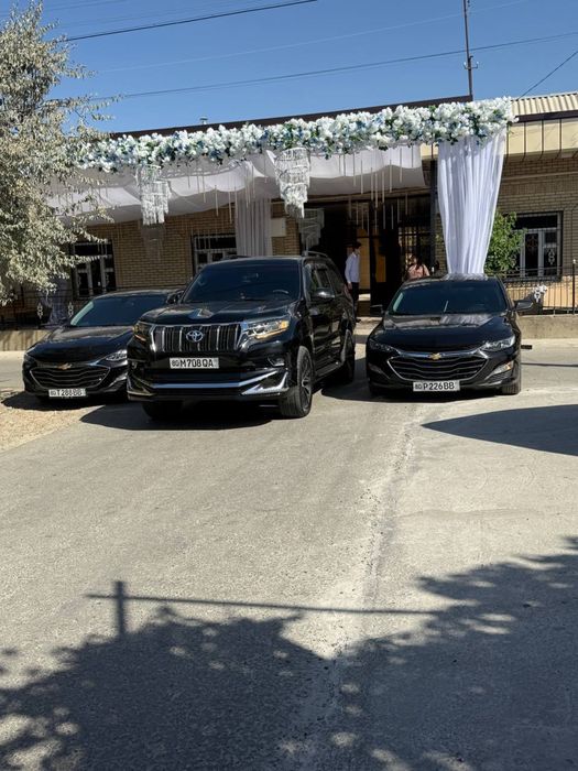 Mers 223 kortej xizmati