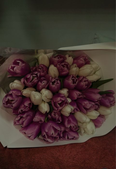 Тюлпаны 51штук свежие