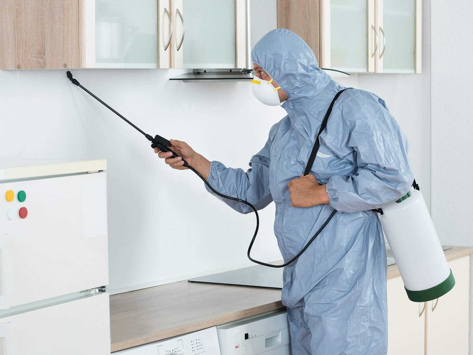 дезинфекция от клопов тараканов уничтожение дезинфекция от клопов