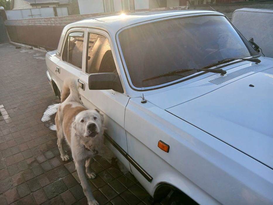 Продам волгу 3110