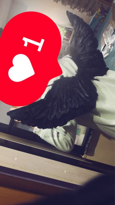 Крылья ангела/ демона на праздник