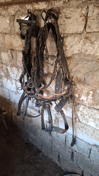 Vand o pereche de hamuri pentru ponei