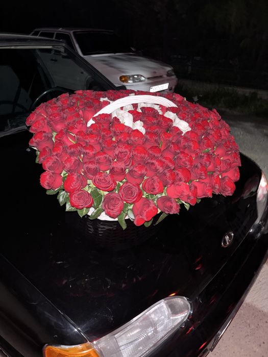 Цветы Н  продаетяс срочно казр келд