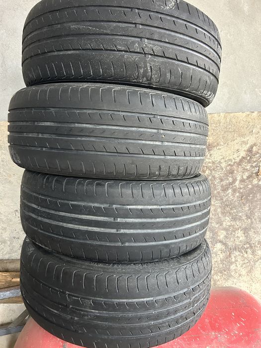 Жентра родной балони. R15