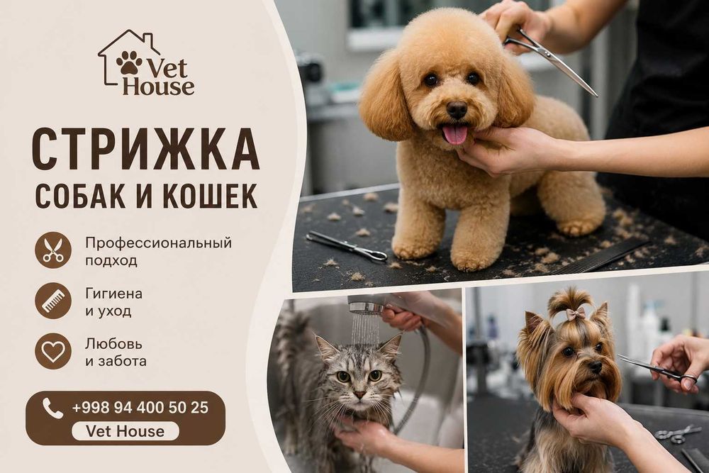 24.7 Cтрижка собак и кошек, грумминг для животных 250 ТЫСЯЧ СУМОВ 24/7