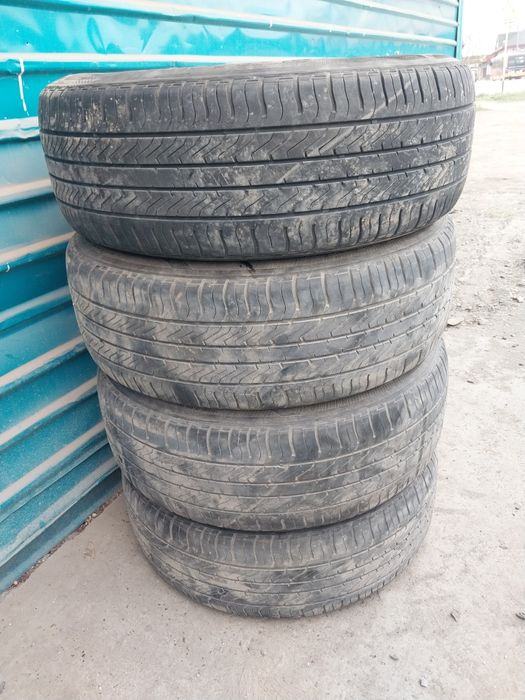 Донгелек зборе сатамын