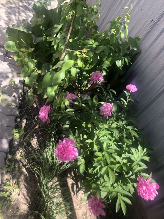 Продам дом с мансардой