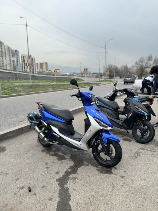 Peda Gts sport мопед