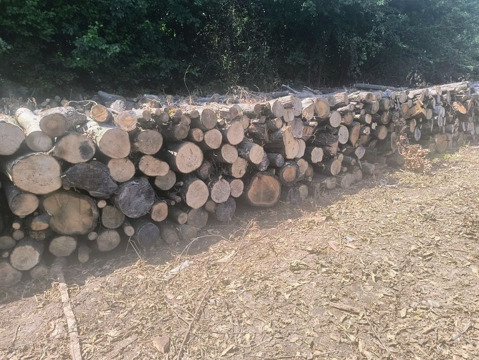 Vand lemne de foc esenta tare carpen cu fag transport la domiciliu