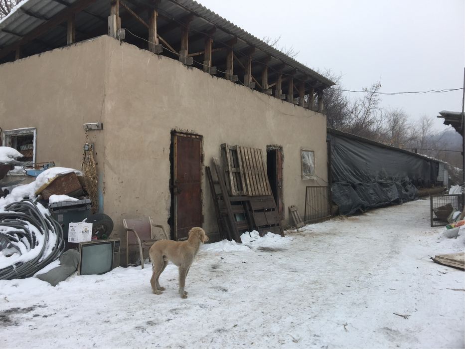 Продам фазенду 173га