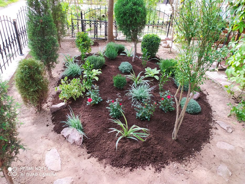 Садовник Ландшафт Боғбон