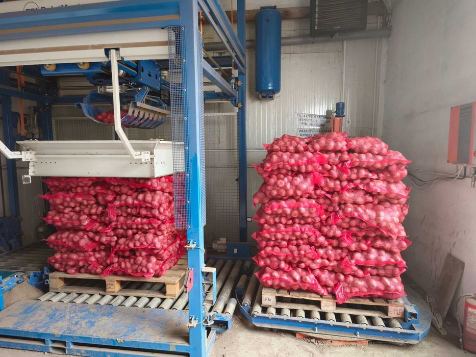 Cartofi consum alb si rosu