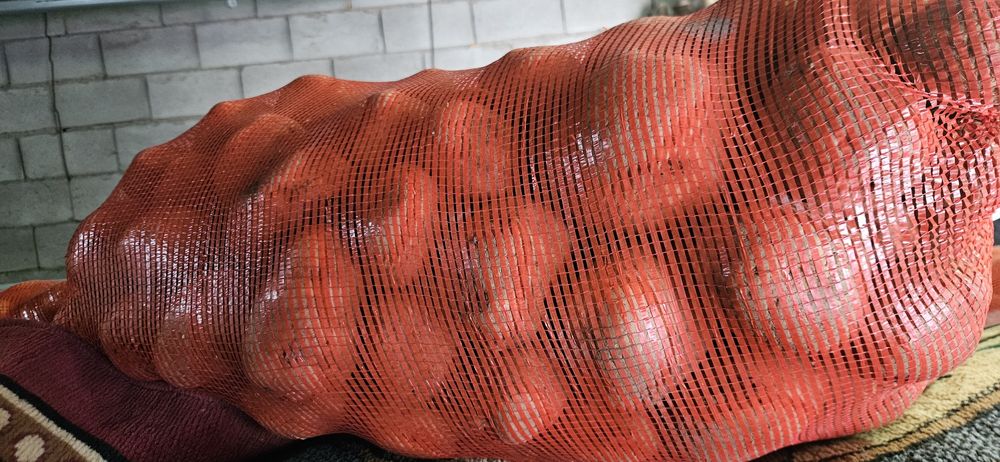 Картофель домашний