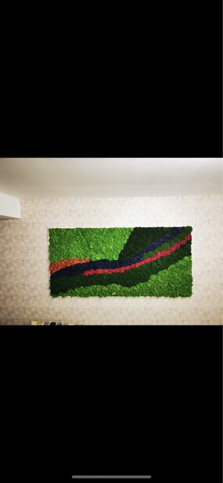 Tablou cu licheni si muschi stabilizati