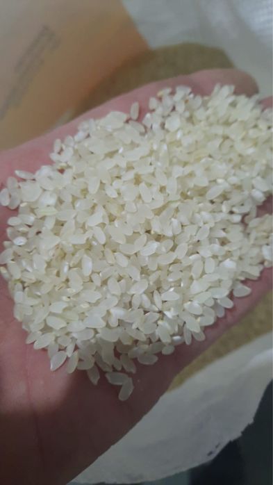 Куриш сатылады,продается рис