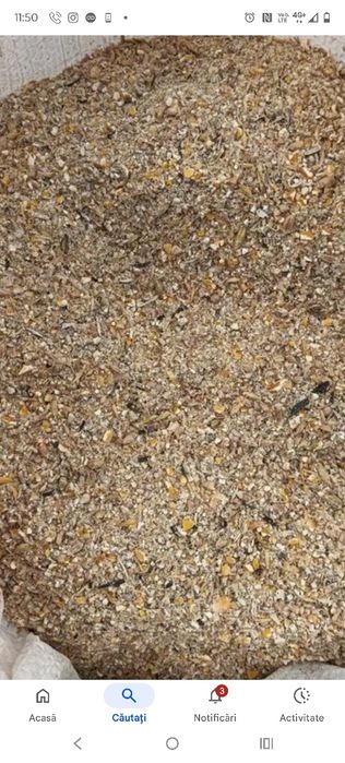 Urluială proaspătă pentru pui – livrare gratuită Buhusi