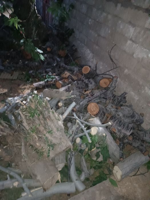 Продается дрова ўтин сотилади срочно