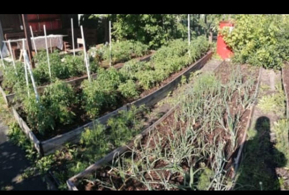 Продам дачу в Новопавловке