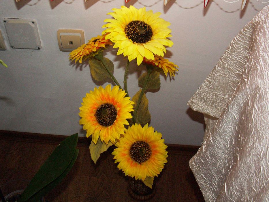 Konica Minolta DiMAGE Z3  - комплект