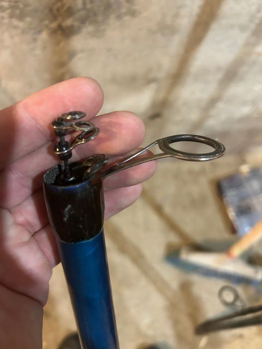 Elite Болонезе 500