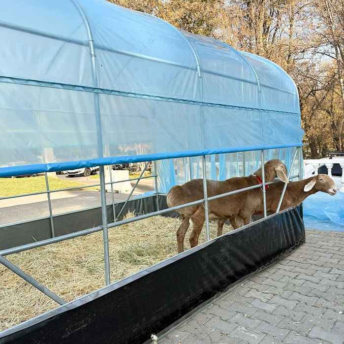 Koreya issiqxonalari, issiqxona uchun materiallar