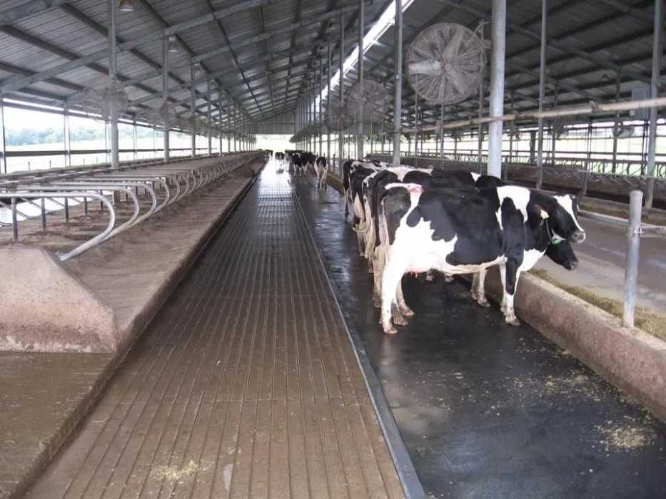 Резина производство