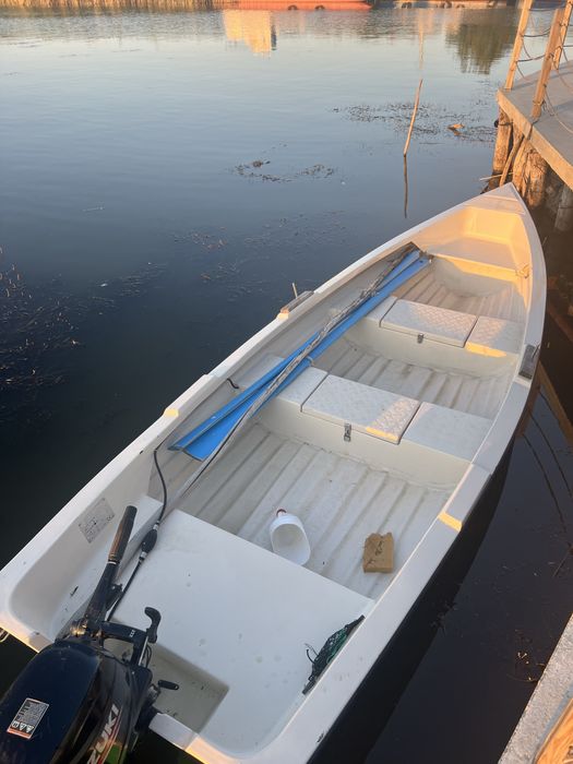 Laguna 480 plasma