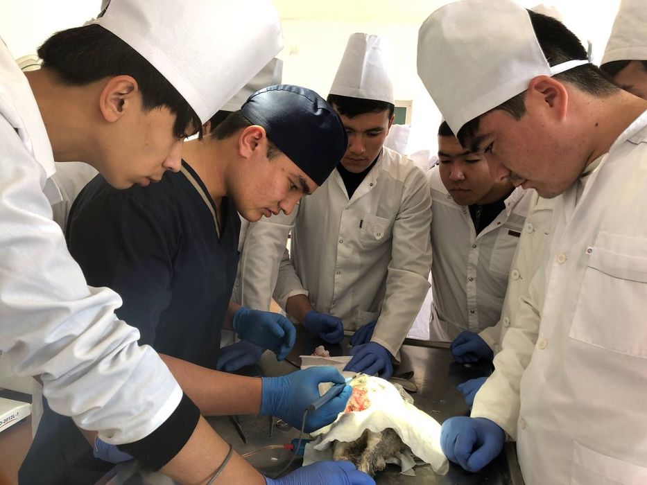 Veterinar vrach / Ветеринар врач/ Vet doctor