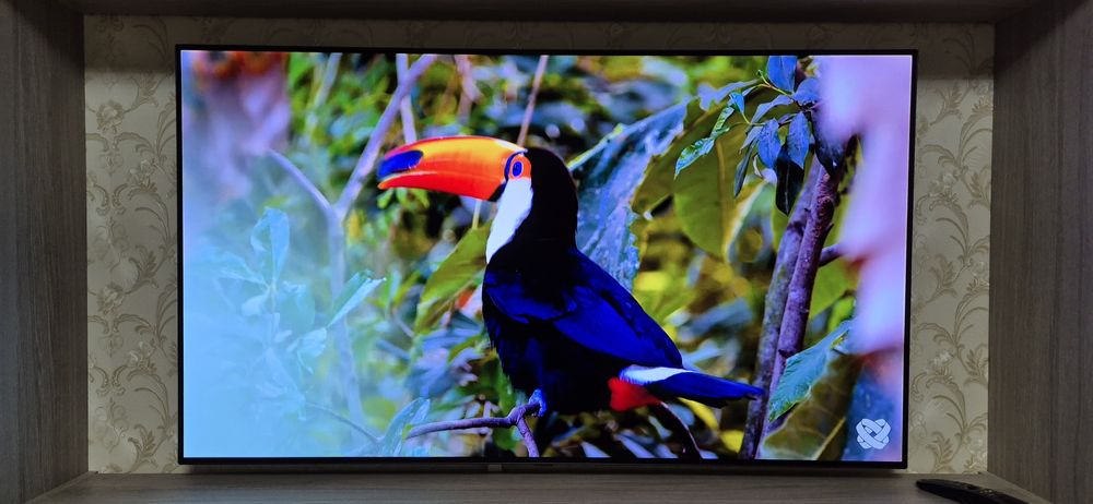 TV  Oled LG 55C11LB