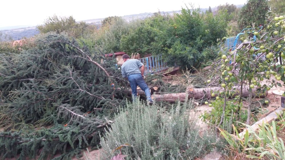 Косене на дворове, рязане на дървета за регион Варна